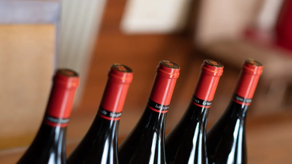 Detalle de botellas de vino tinto fino soriano dispuestas en una hilera.